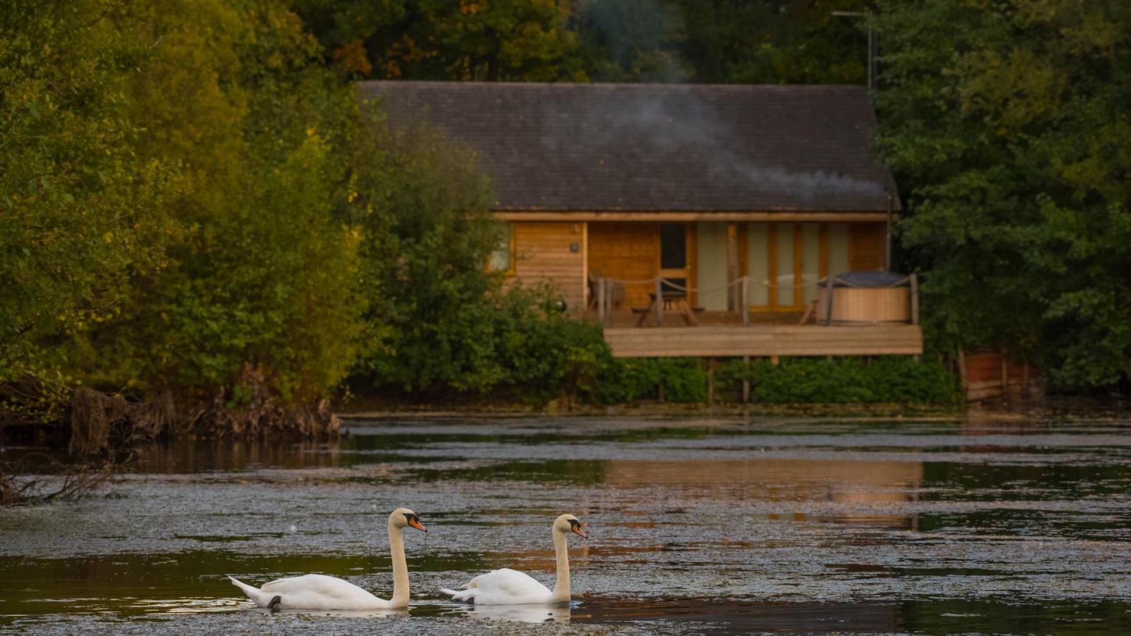 Water Lily Lodge, Places to Stay in Essex